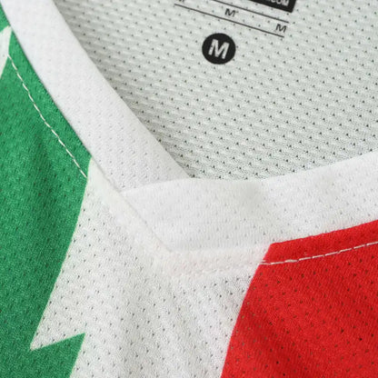 10-11 season Juventus F.C. away retro - Fan version