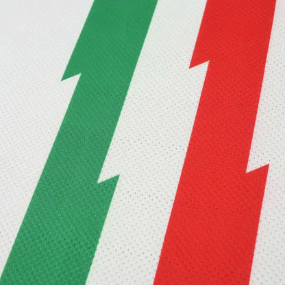 10-11 season Juventus F.C. away retro - Fan version