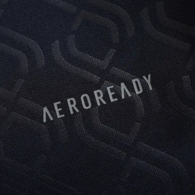 24-25 season Juventus third - Fan version