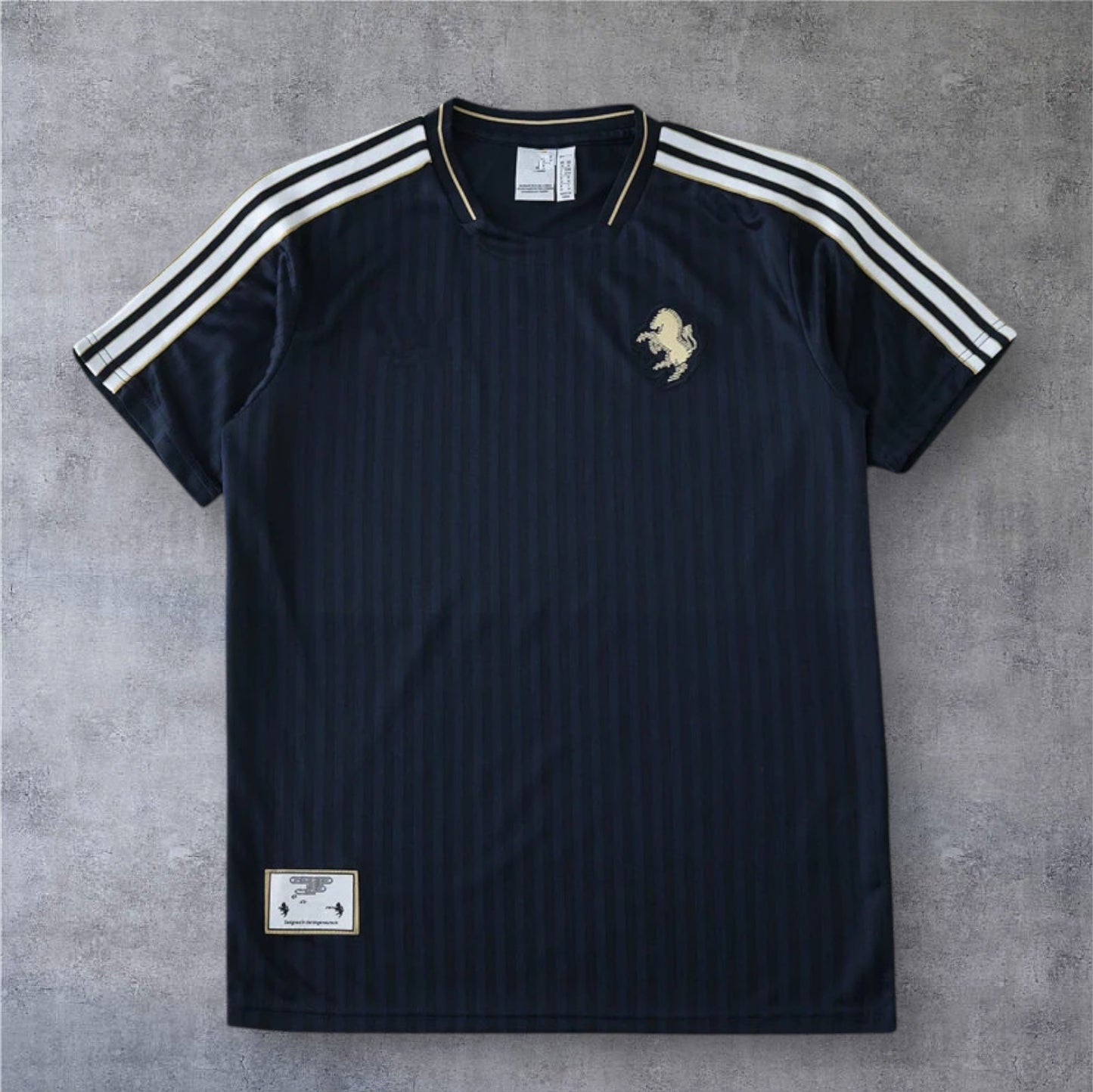 24-25 season Juventus F.C. Concept version - Fan version