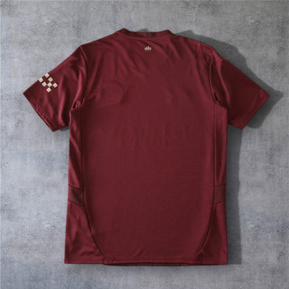 24-25 season Manchester City F.C. third - Fan version