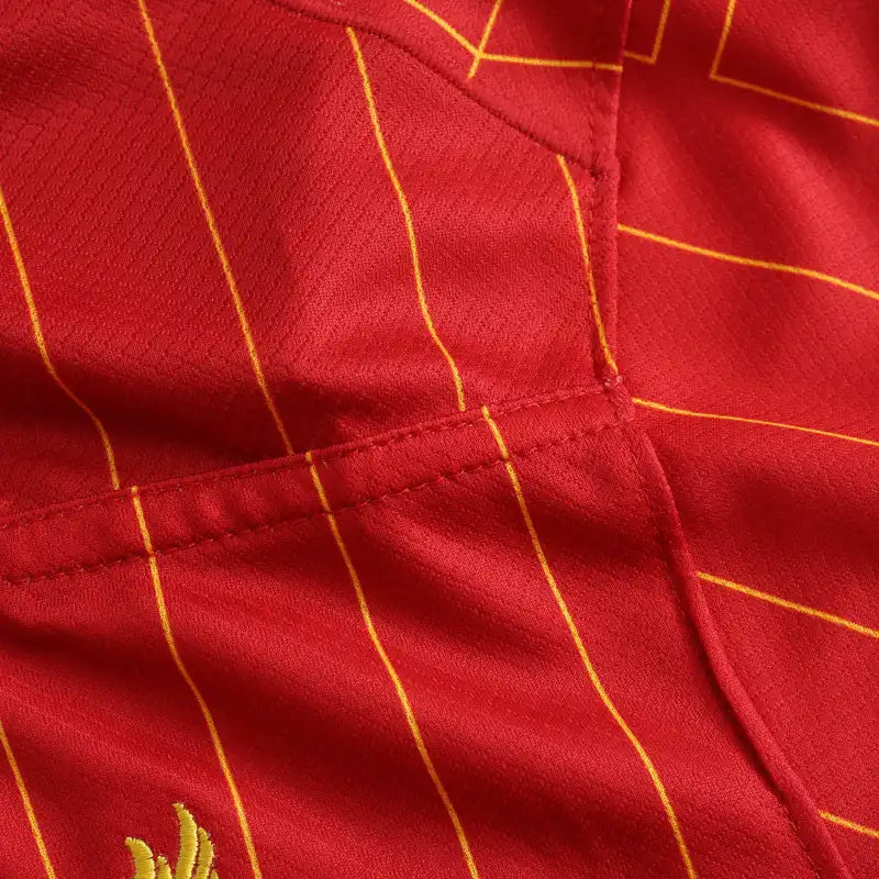 24-25 season Liverpool home - Fan version