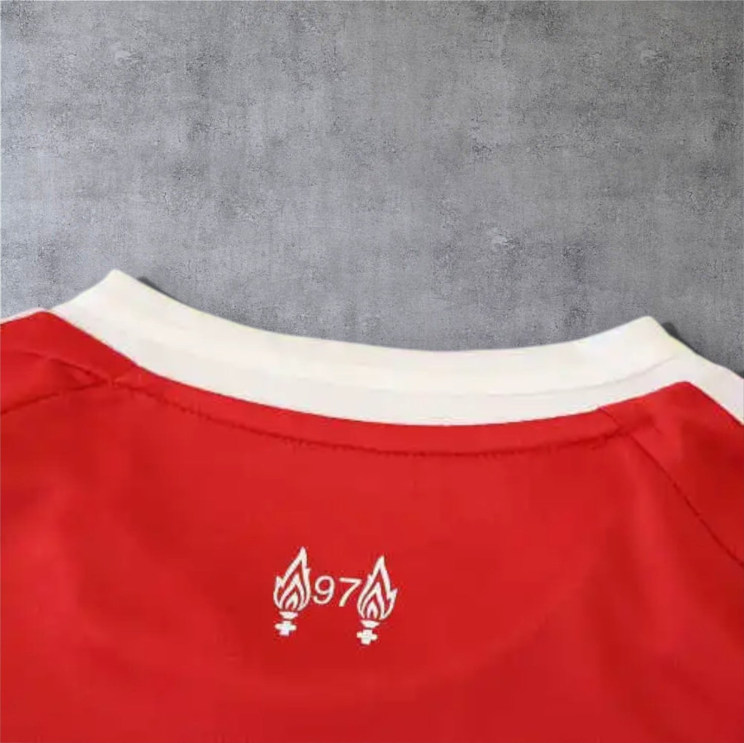 25-26 season Liverpool F.C. home - Fan version