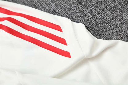 25-26 season Liverpool F.C. Half zip training suit - set