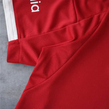 25-26 season Liverpool F.C. home - Fan version