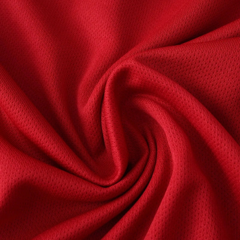 25-26 season Liverpool F.C. home - Fan version