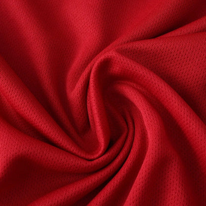 25-26 season Liverpool F.C. home - Fan version