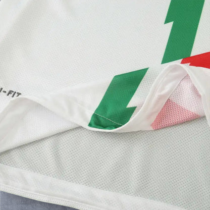 10-11 season Juventus F.C. away retro - Fan version