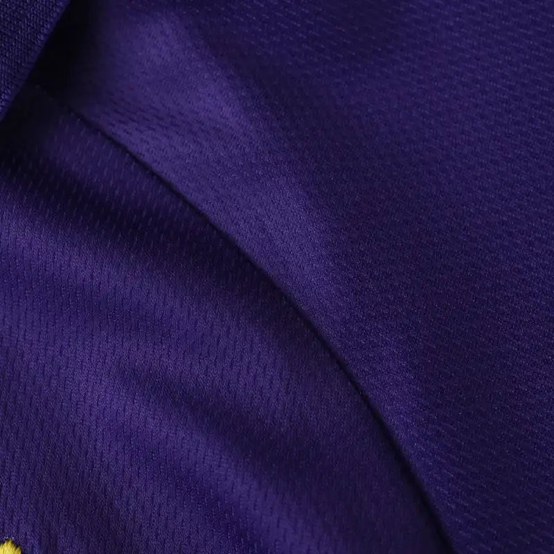 99-00 season ACF Fiorentina Home Retrò - Fan version