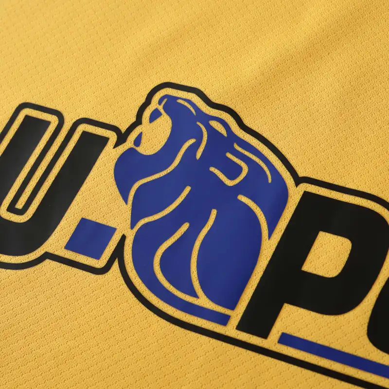 24-25 season F.C. Internazionale Milano third final - Fan version