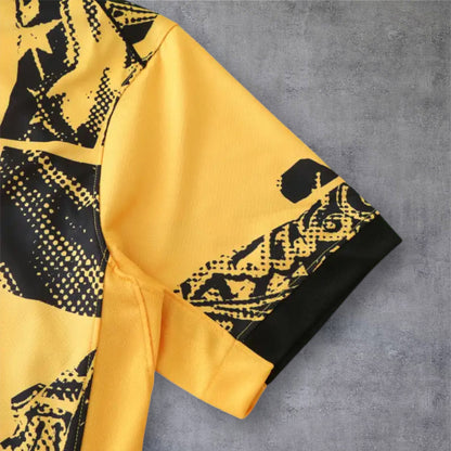 24-25 season F.C. Internazionale Milano third - Fan version