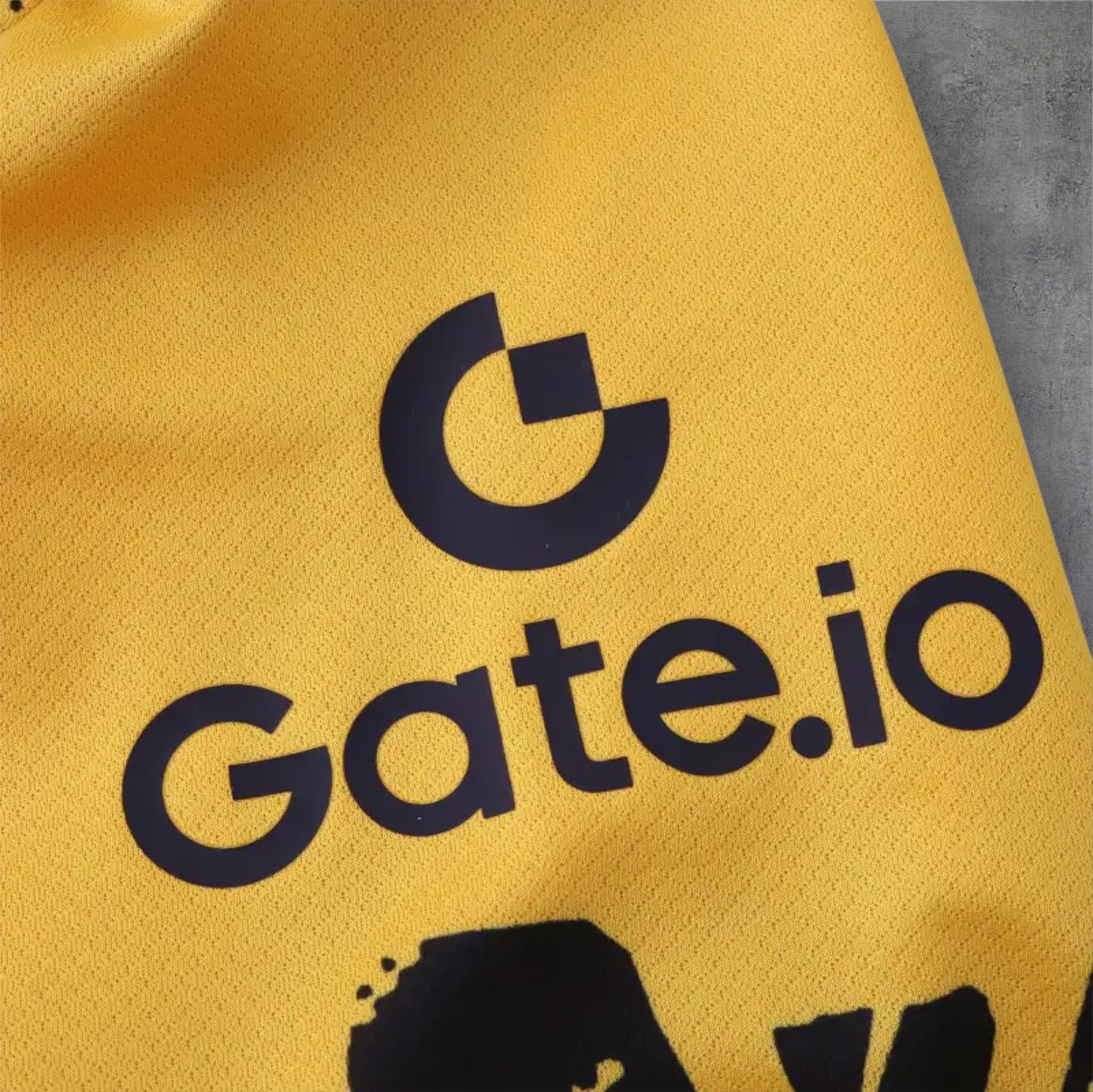 24-25 season F.C. Internazionale Milano third final - Fan version