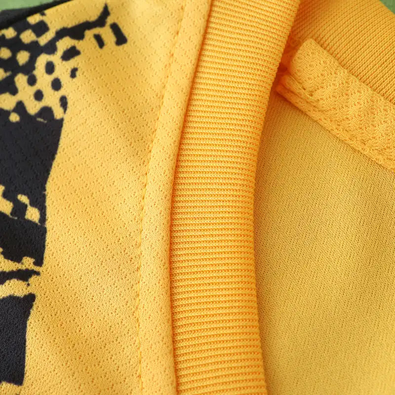 24-25 season F.C. Internazionale Milano third final - Fan version