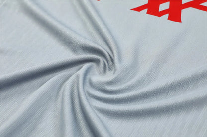 24-25 Liverpool F.C. grey Training suit - set Player version