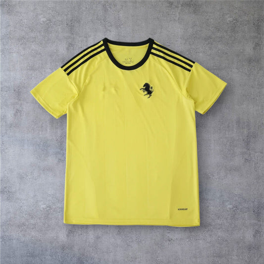 25-26 season Juventus F.C. goalkeeper - Fan version